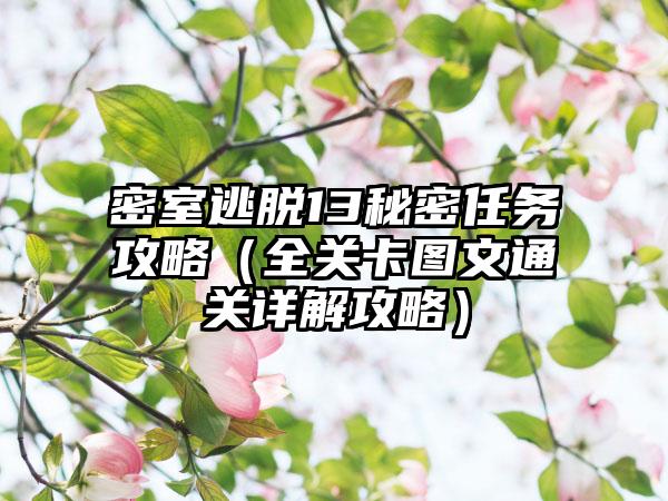密室逃脱13秘密任务攻略（全关卡图文通关详解攻略）