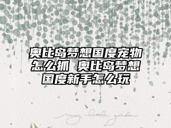 奥比岛梦想国度宠物怎么抓 奥比岛梦想国度新手怎么玩