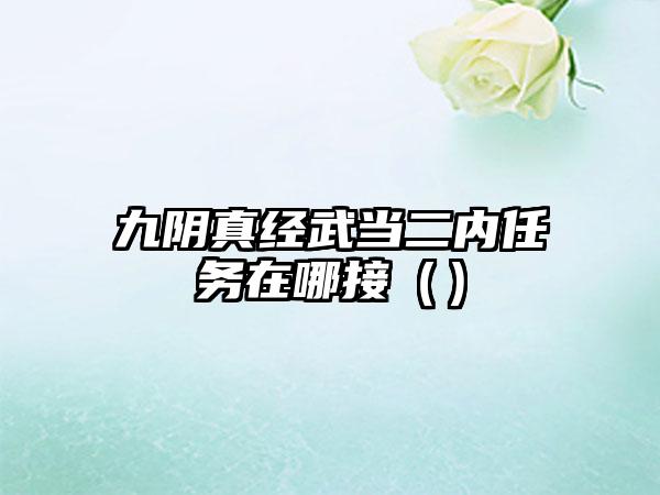 九阴真经武当二内任务在哪接（）