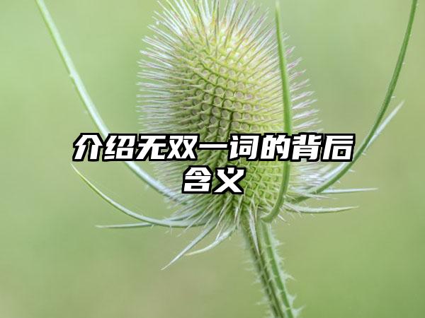 介绍无双一词的背后含义