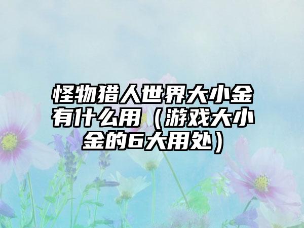 怪物猎人世界大小金有什么用（游戏大小金的6大用处）
