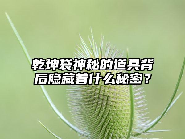 乾坤袋神秘的道具背后隐藏着什么秘密？