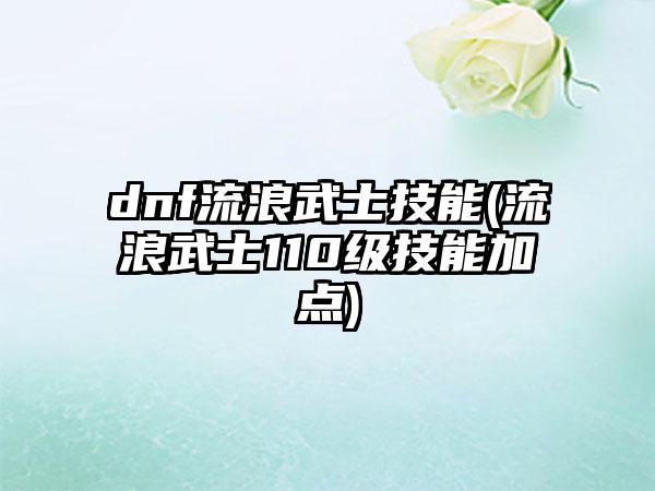 dnf流浪武士技能(流浪武士110级技能加点)
