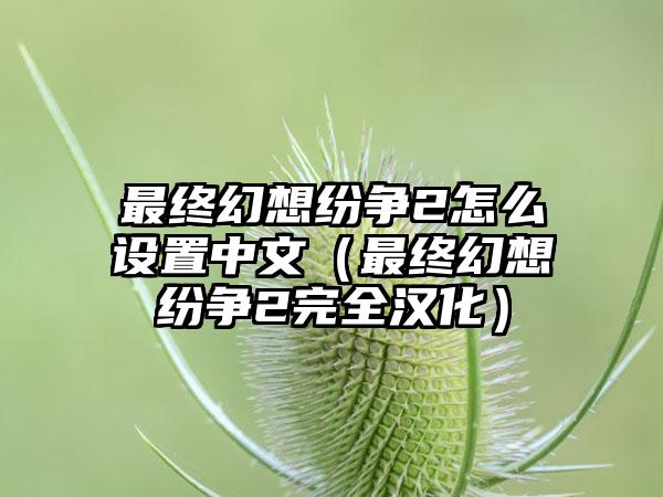 最终幻想纷争2怎么设置中文（最终幻想纷争2完全汉化）