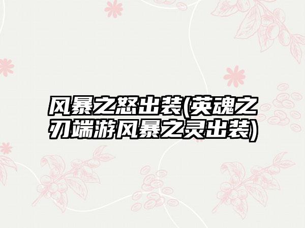风暴之怒出装(英魂之刃端游风暴之灵出装)