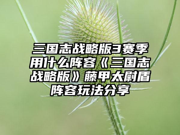 三国志战略版3赛季用什么阵容《三国志战略版》藤甲太尉盾阵容玩法分享