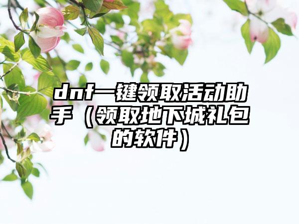 dnf一键领取活动助手（领取地下城礼包的软件）