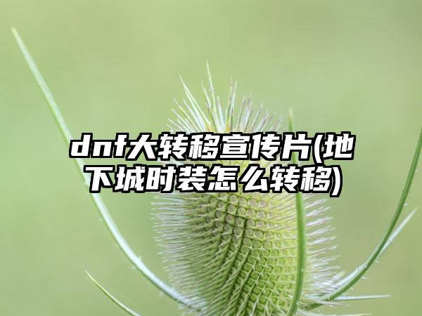 dnf大转移宣传片(地下城时装怎么转移)