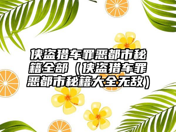 侠盗猎车罪恶都市秘籍全部（侠盗猎车罪恶都市秘籍大全无敌）