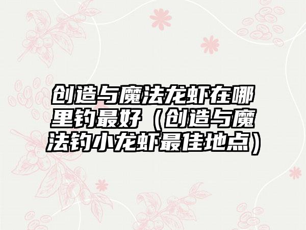 创造与魔法龙虾在哪里钓最好（创造与魔法钓小龙虾最佳地点）