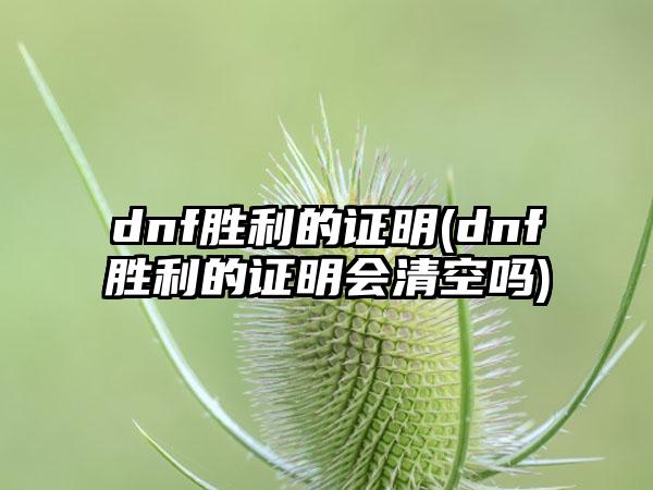 dnf胜利的证明(dnf胜利的证明会清空吗)