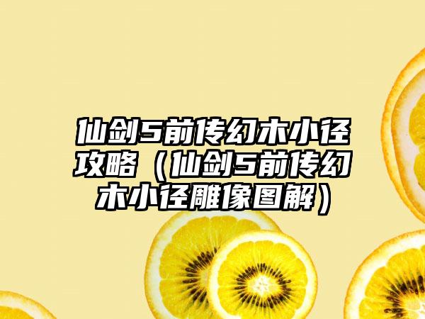 仙剑5前传幻木小径攻略（仙剑5前传幻木小径雕像图解）