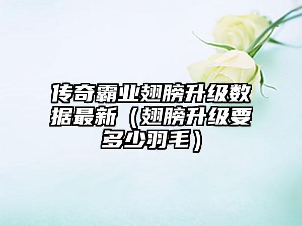 传奇霸业翅膀升级数据最新（翅膀升级要多少羽毛）