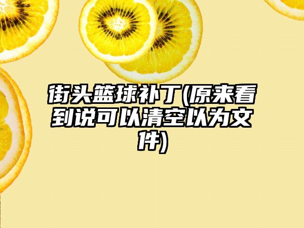 街头篮球补丁(原来看到说可以清空以为文件)