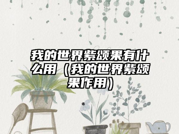 我的世界紫颂果有什么用（我的世界紫颂果作用）