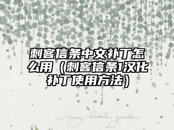 刺客信条中文补丁怎么用（刺客信条1汉化补丁使用方法）