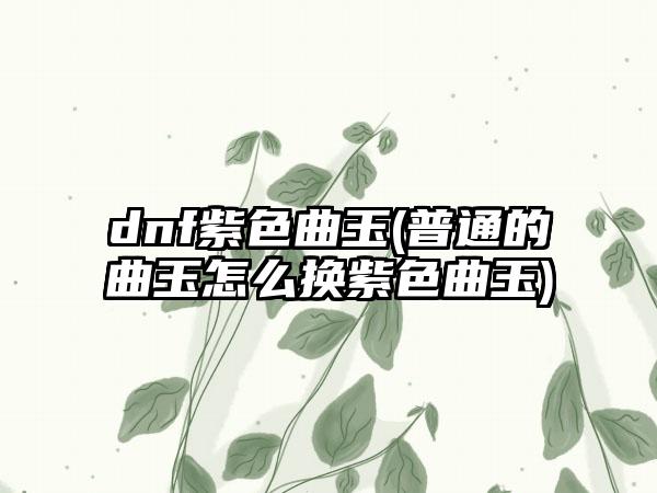 dnf紫色曲玉(普通的曲玉怎么换紫色曲玉)