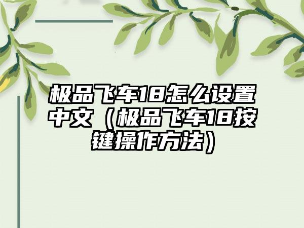 极品飞车18怎么设置中文（极品飞车18按键操作方法）