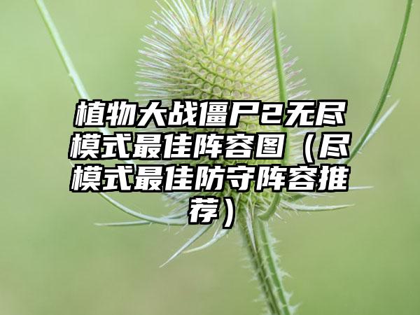 植物大战僵尸2无尽模式最佳阵容图（尽模式最佳防守阵容推荐）