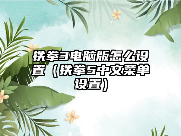 铁拳3电脑版怎么设置（铁拳5中文菜单设置）