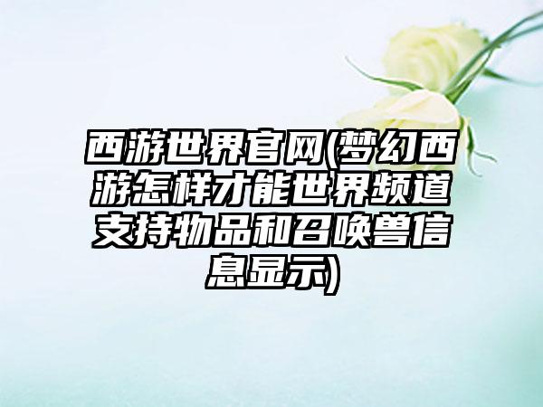 西游世界(梦幻西游怎样才能世界频道支持物品和召唤兽信息显示)