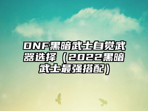 DNF黑暗武士自觉武器选择（2022黑暗武士最强搭配）