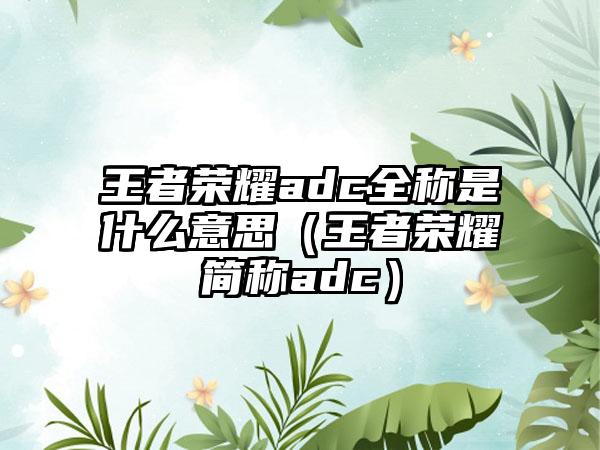 王者荣耀adc全称是什么意思（王者荣耀简称adc）