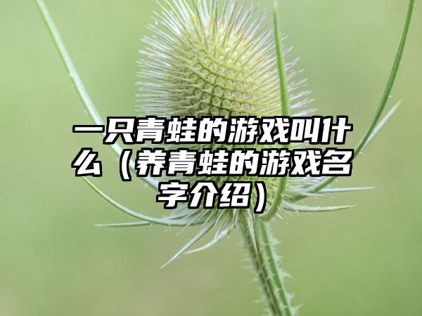 一只青蛙的游戏叫什么（养青蛙的游戏名字介绍）