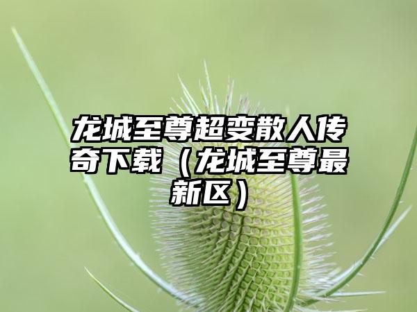 龙城至尊超变散人传奇（龙城至尊最新区）