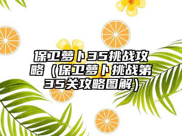 保卫萝卜35挑战攻略（保卫萝卜挑战第35关攻略图解）