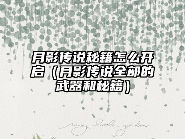 月影传说秘籍怎么开启（月影传说全部的武器和秘籍）
