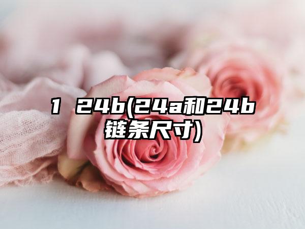 1 24b(24a和24b链条尺寸)