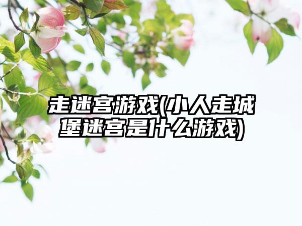 走迷宫游戏(小人走城堡迷宫是什么游戏)