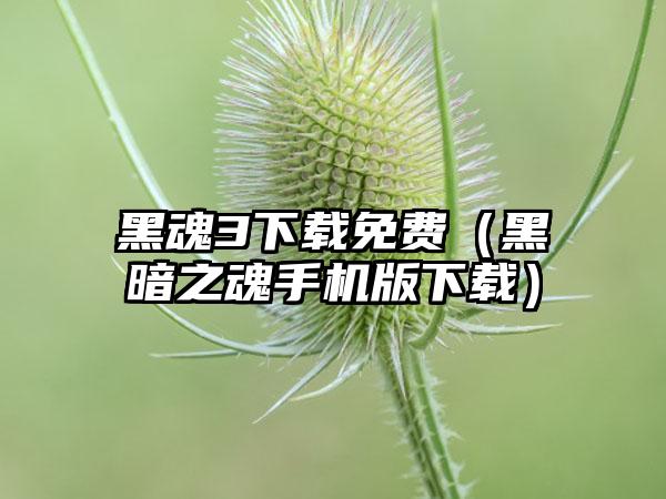 黑魂3免费（黑暗之魂手机版）