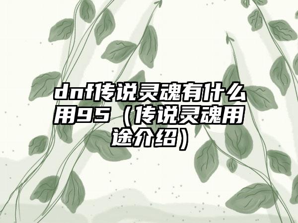 dnf传说灵魂有什么用95（传说灵魂用途介绍）