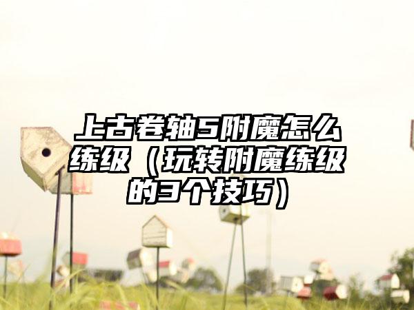 上古卷轴5附魔怎么练级（玩转附魔练级的3个技巧）