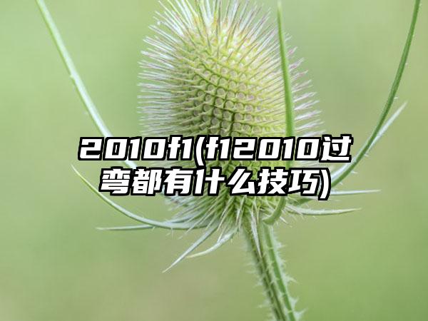2010f1(f12010过弯都有什么技巧)