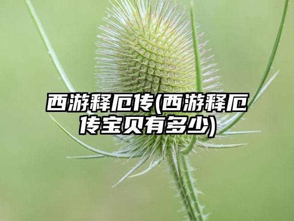 西游释厄传(西游释厄传宝贝有多少)
