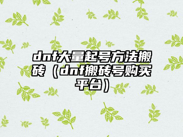 dnf大量起号方法搬砖（dnf搬砖号购买平台）
