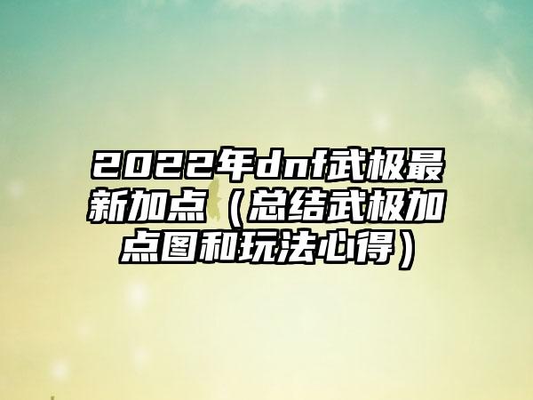 2022年dnf武极最新加点（总结武极加点图和玩法心得）