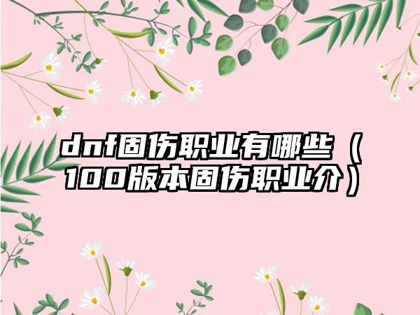 dnf固伤职业有哪些（100版本固伤职业介）