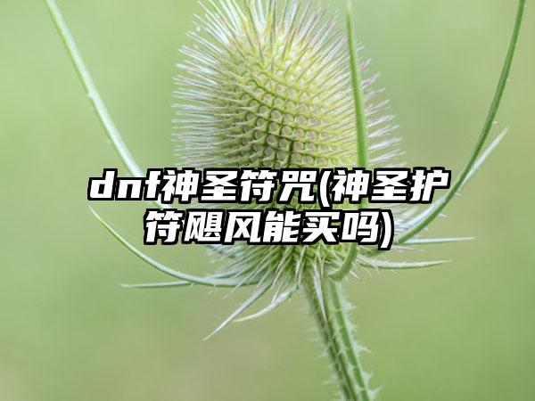 dnf神圣符咒(神圣护符飓风能买吗)