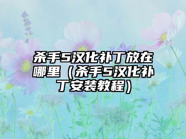 杀手5汉化补丁放在哪里（杀手5汉化补丁安装教程）