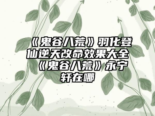 《鬼谷八荒》羽化登仙逆天改命效果大全 《鬼谷八荒》永宁轩在哪