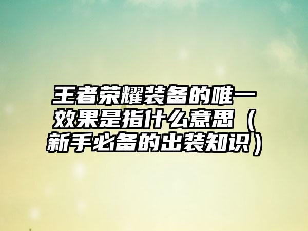 王者荣耀装备的唯一效果是指什么意思（新手必备的出装知识）