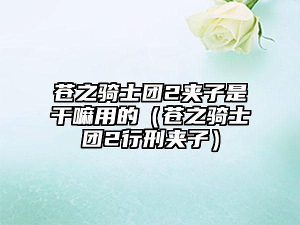苍之骑士团2夹子是干嘛用的（苍之骑士团2行刑夹子）