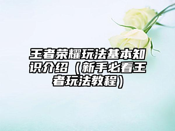 王者荣耀玩法基本知识介绍（新手必看王者玩法教程）