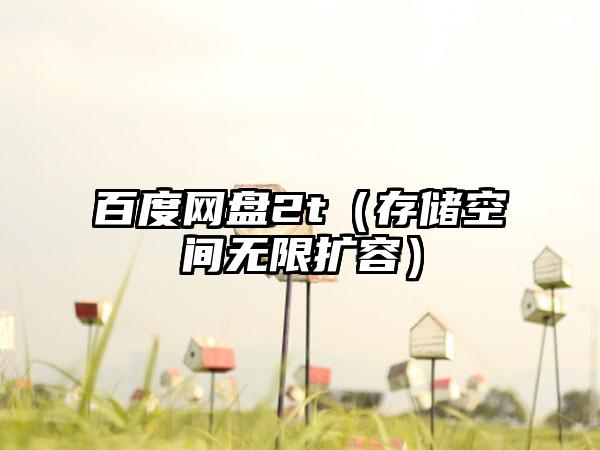 百度网盘2t（存储空间无限扩容）