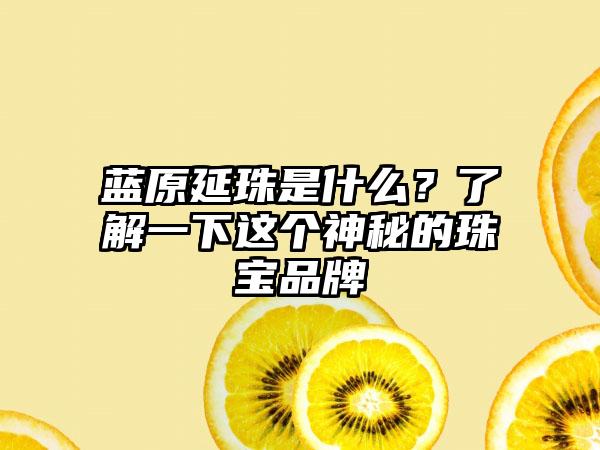 蓝原延珠是什么？了解一下这个神秘的珠宝品牌