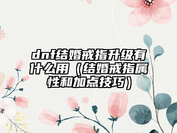 dnf结婚戒指升级有什么用（结婚戒指属性和加点技巧）